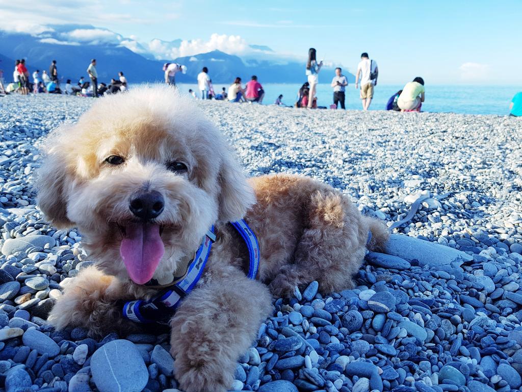 Bearbear Homestay Hualien City Exterior photo
